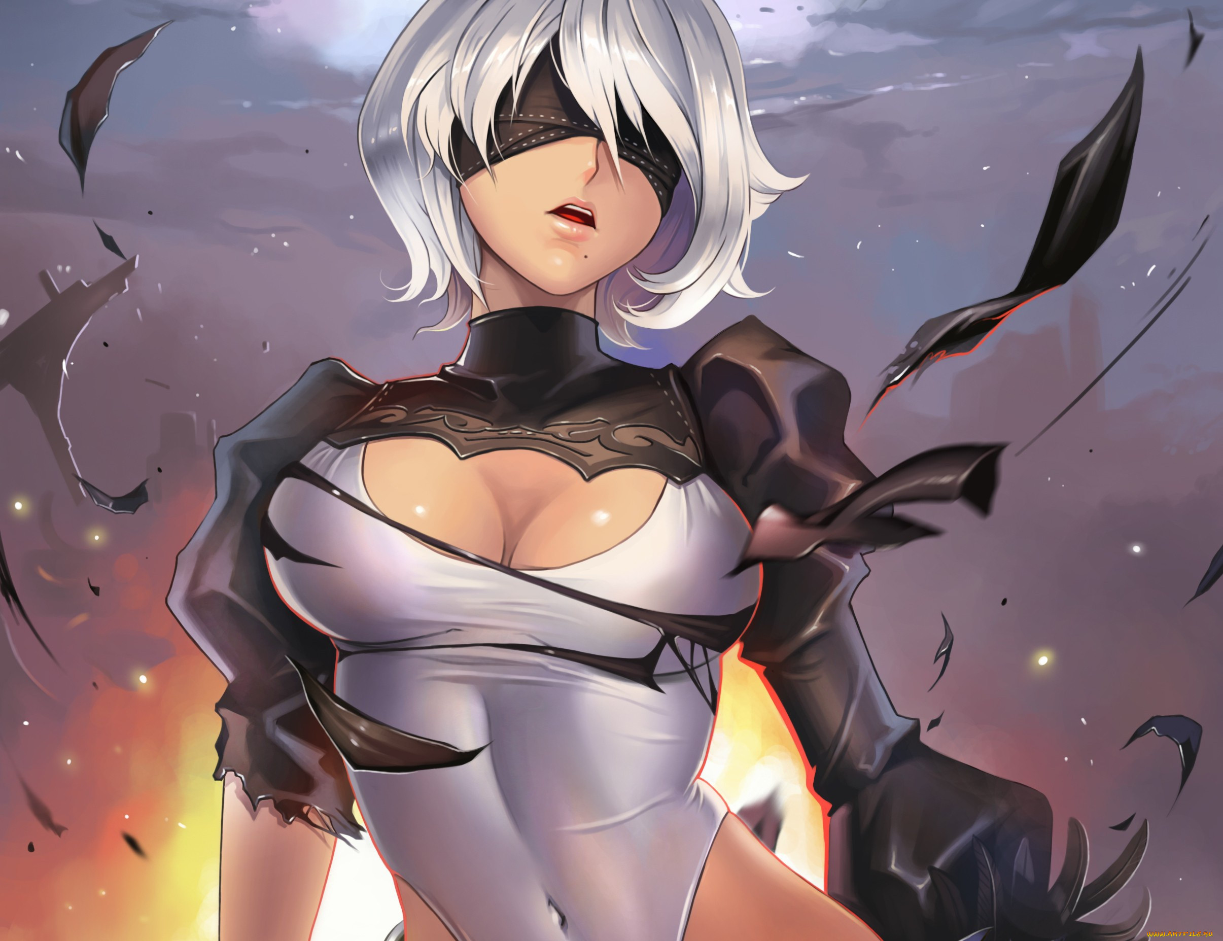  , nier,  automata, , automata, 